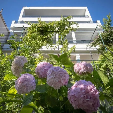 Crystal 마카르스카